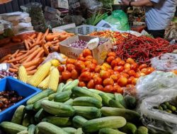 Stok Pangan di Bandar Lampung Aman Jelang dan Pasca Lebaran, Telur Ayam Jadi Sorotan