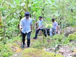 Bupati Egi Cek Longsor Gunung Rajabasa, Fokus Mitigasi Lewat Penanaman Pohon